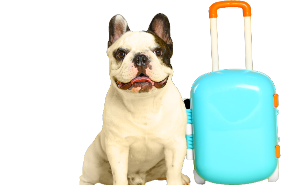Pensión Canina